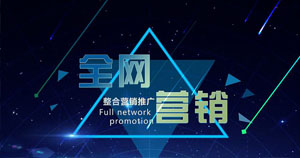 温州三佳网络科技